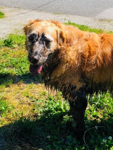 2e6c65d6-ecc1-4592-b20d-b8d075f9d6da